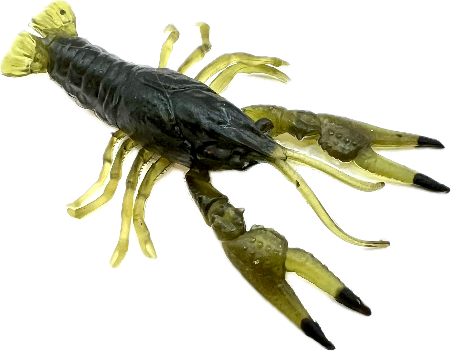 Tackle Max Craw 6PK