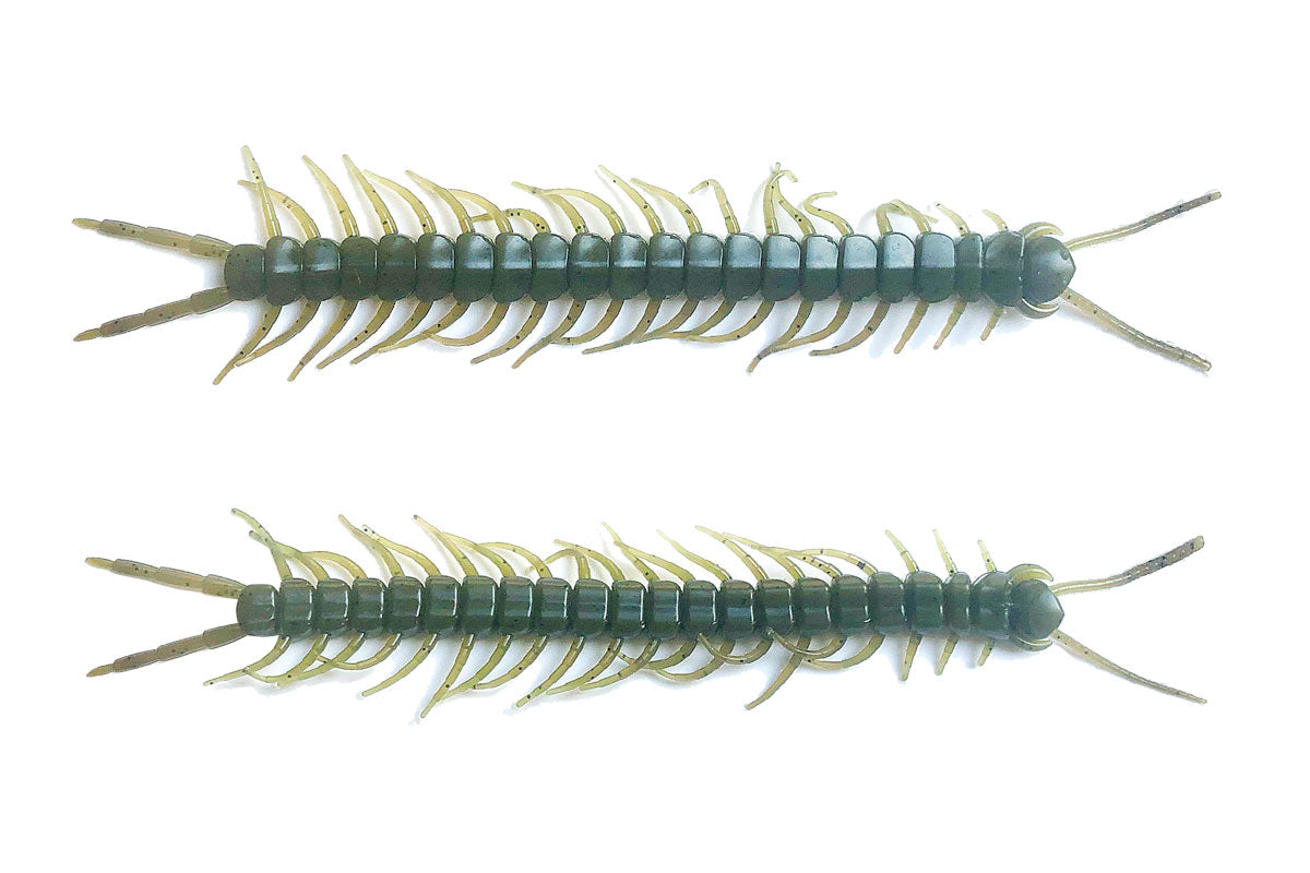 Centipede 5.8" Green Pumpkin 8PK
