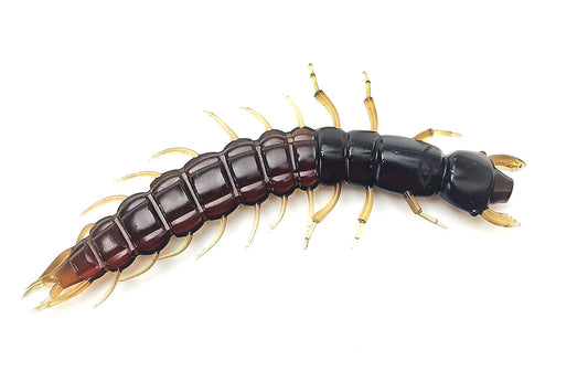 Hellgrammite 3.7" Maple Syrup 8PK