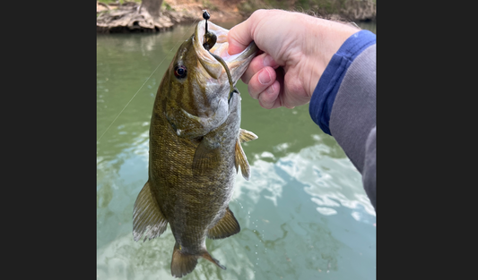 Mitch landed an 18 inch smallmouth with the Tackle Max Shark Tail Worm!