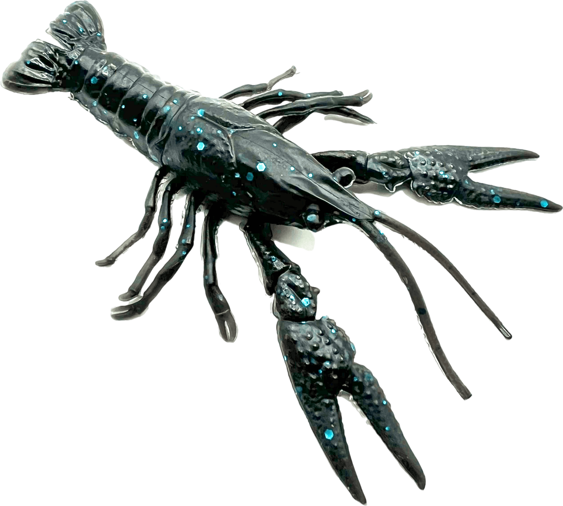 crawfish Jackall Vector Bug 2.5 Black Candy in the fishing tackle shop  . reviews, description, 0