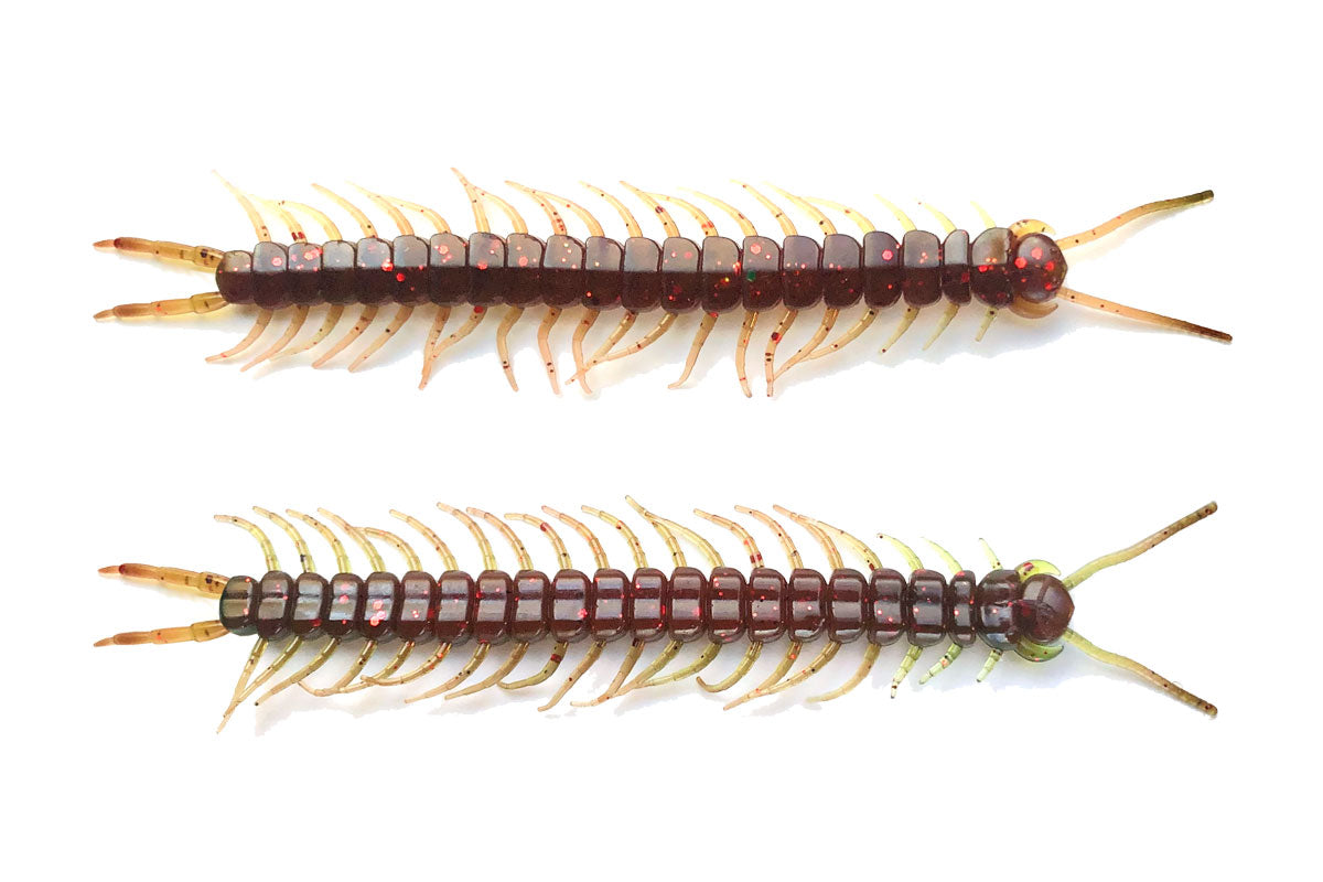 Centipede 5.8" Cajun Melon 8PK