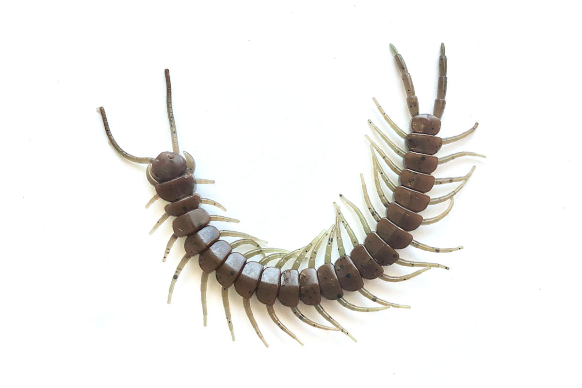 Centipede 5.8" Stone Cold 8PK